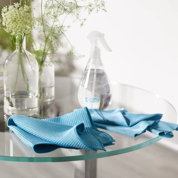 E-Cloth Window Cleaning Kit