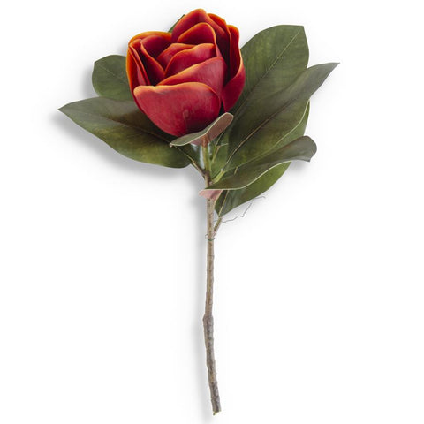 Orange Magnolia Stem
