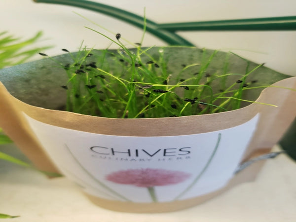 Garden-in-a-Bag Chives