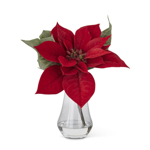 Red Poinsettia in Glass Vase