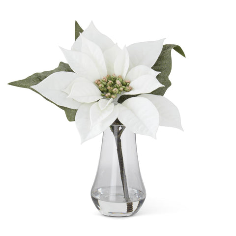 White Poinsettia in Glass Vase