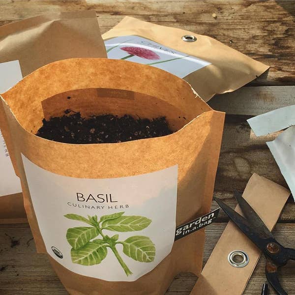 Garden-in-a-Bag Basil