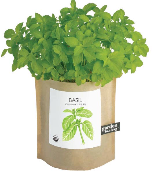 Garden-in-a-Bag Basil
