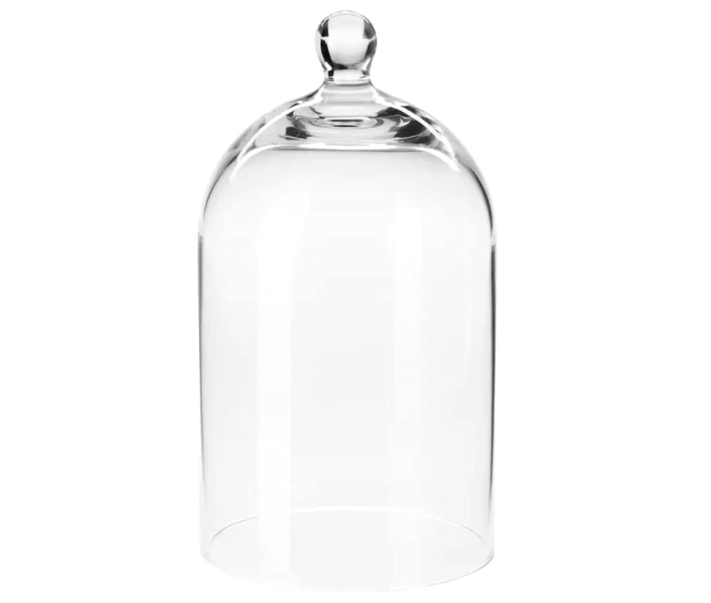 Glass Dome with Handle