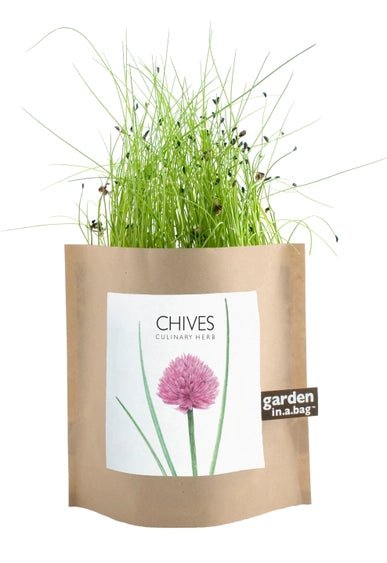 Garden-in-a-Bag Chives