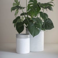 Emmie Planters