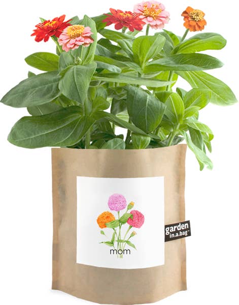 Garden-in-a-Bag Mom